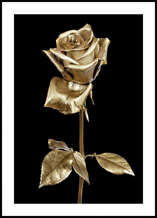 Goldene Rose Poster - Posterbox.dk