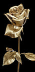 Goldene Rose Poster - Posterbox.dk