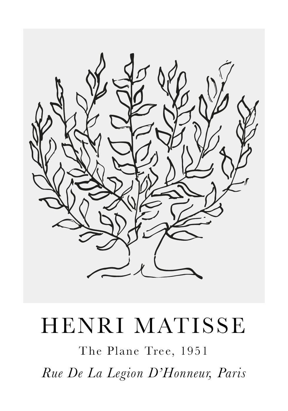 H. Matisse The Platane Poster - Posterbox.dk