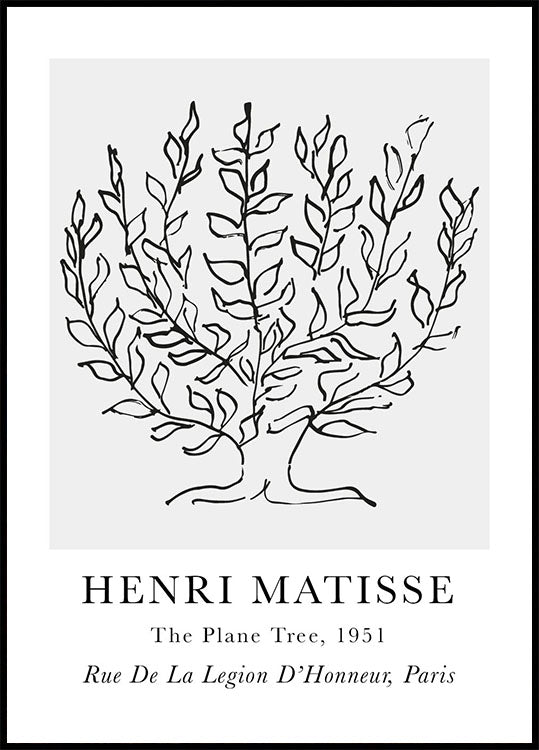 H. Matisse The Platane Poster - Posterbox.dk