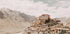 Schlüsselkloster im Himalaya Poster - Posterbox.dk