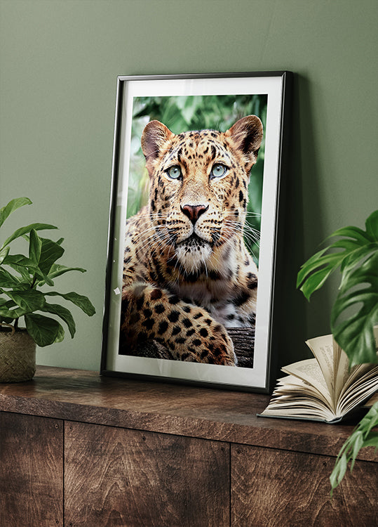 Leopard-Nahaufnahme-Poster - Posterbox.dk