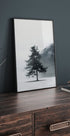 Poster „Einsame Kiefer im nebligen Feld“ - Posterbox.dk