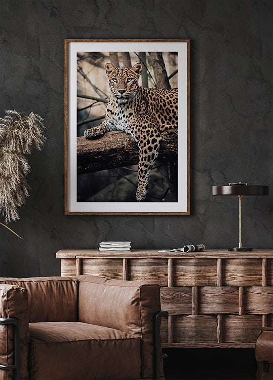 Poster „Majestätischer Leopard ruht auf einem Baum“ - Posterbox.dk