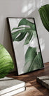 Monstera-Blätter-Poster - Posterbox.dk