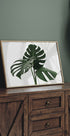 Monstera-Pflanze Nr. 1 Poster - Posterbox.dk