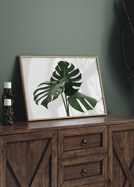 Monstera-Pflanze Nr. 1 Poster - Posterbox.dk