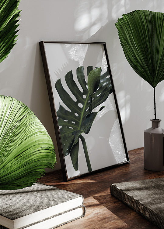 Monstera-Pflanze Nr. 1 Poster - Posterbox.dk