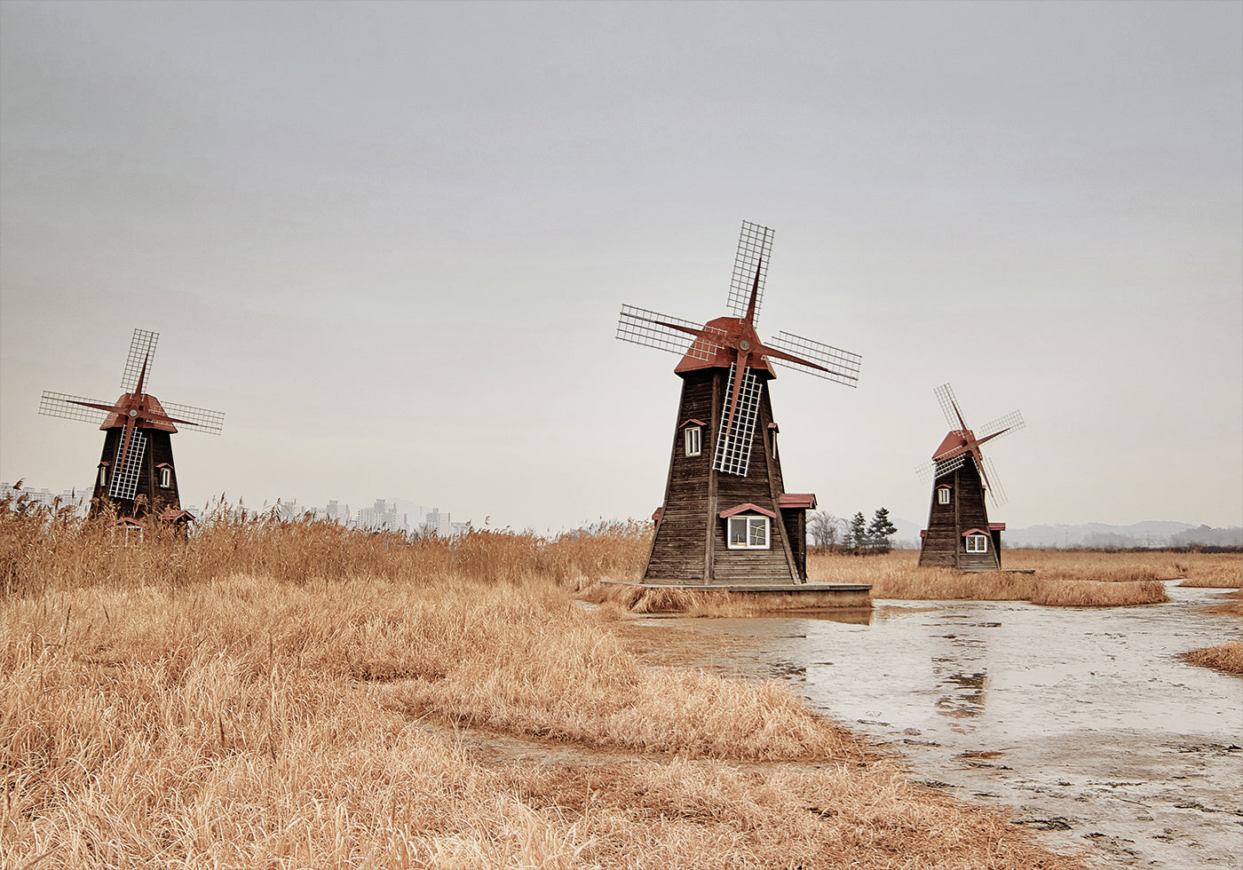 Alte Windmühlen auf dem Land Poster - Posterbox.dk