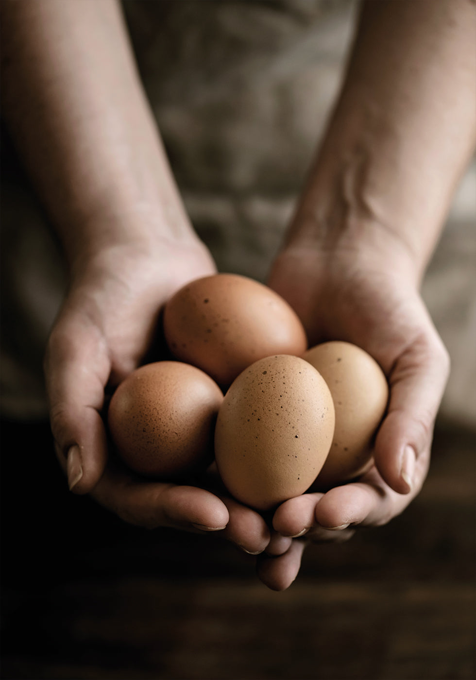 Poster mit Bio-Eiern vom Bauernhof - Posterbox.dk