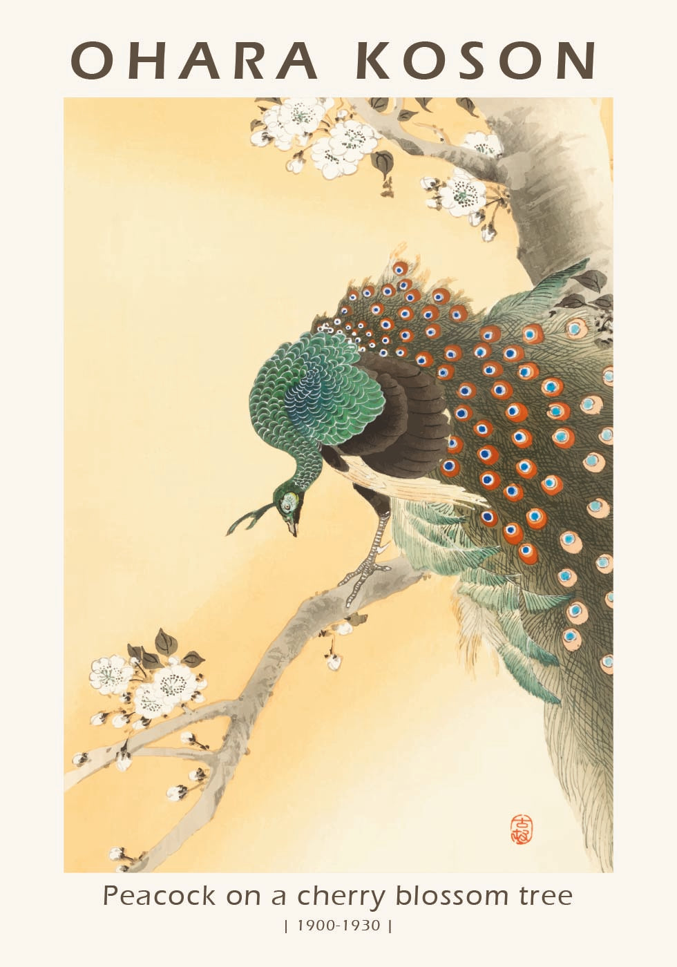 Pfau auf einem Kirschblütenbaum, japanischer Holzschnitt von Ohara Koson Poster - Posterbox.dk