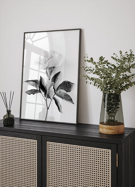 Pfingstrosen-Schwarzweiß-Poster - Posterbox.dk