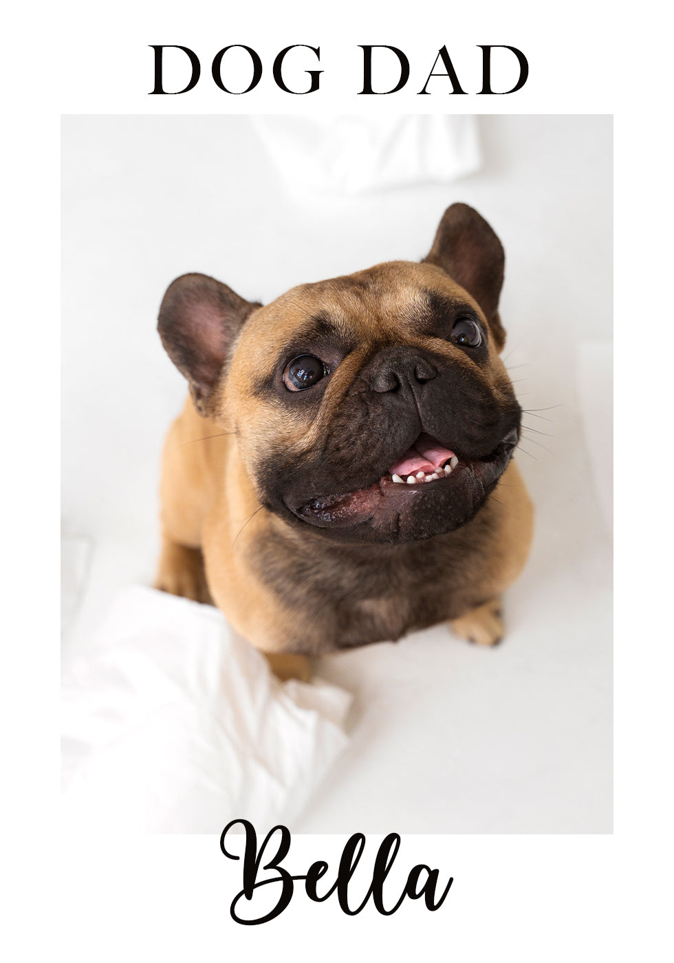 Personalisiertes Haustierposter - Posterbox.dk