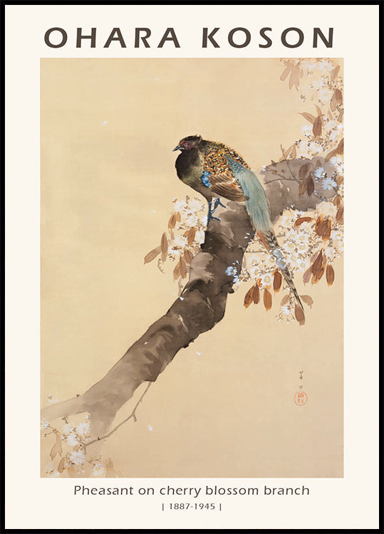 Fasan auf Kirschblütenzweig, japanischer Holzschnitt von Ohara Koson Poster - Posterbox.dk