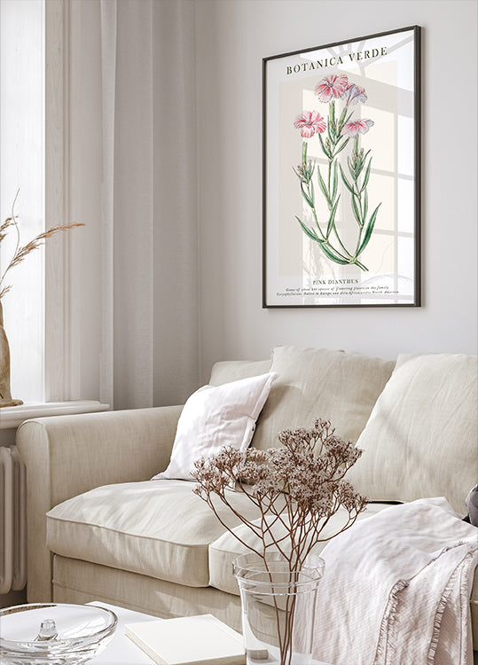 Rosa Dianthus Botanisches Poster - Posterbox.dk