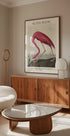 Pink Flamingo Birds of America, Audubon 1827 Poster - Posterbox.dk