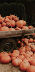 Pumpkin Patch Truck Poster - Posterbox.dk