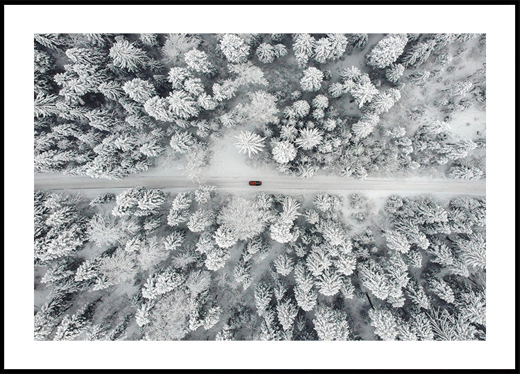 Rotes Auto fährt durch verschneiten Wald Poster - Posterbox.dk