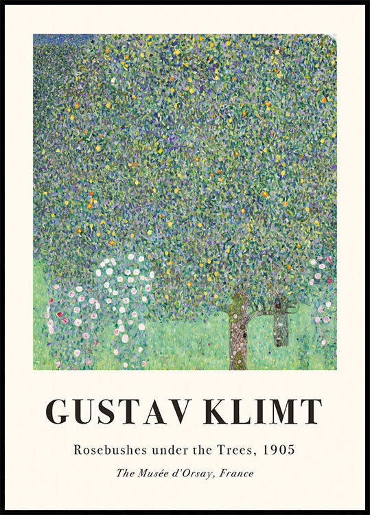 Rosensträucher unter den Bäumen Poster - Posterbox.dk