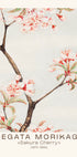 Japanische Sakura-Kirschblüte, Megata Morikaga 1870–1880 Poster - Posterbox.dk
