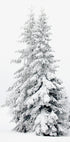 Poster „Schneebedeckte Kiefern“ - Posterbox.dk