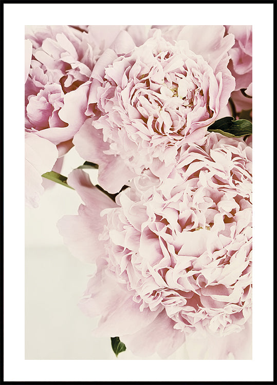 eine Nahaufnahme eines Straußes rosa Blumen