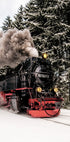 Dampfzug im verschneiten Wald Poster - Posterbox.dk