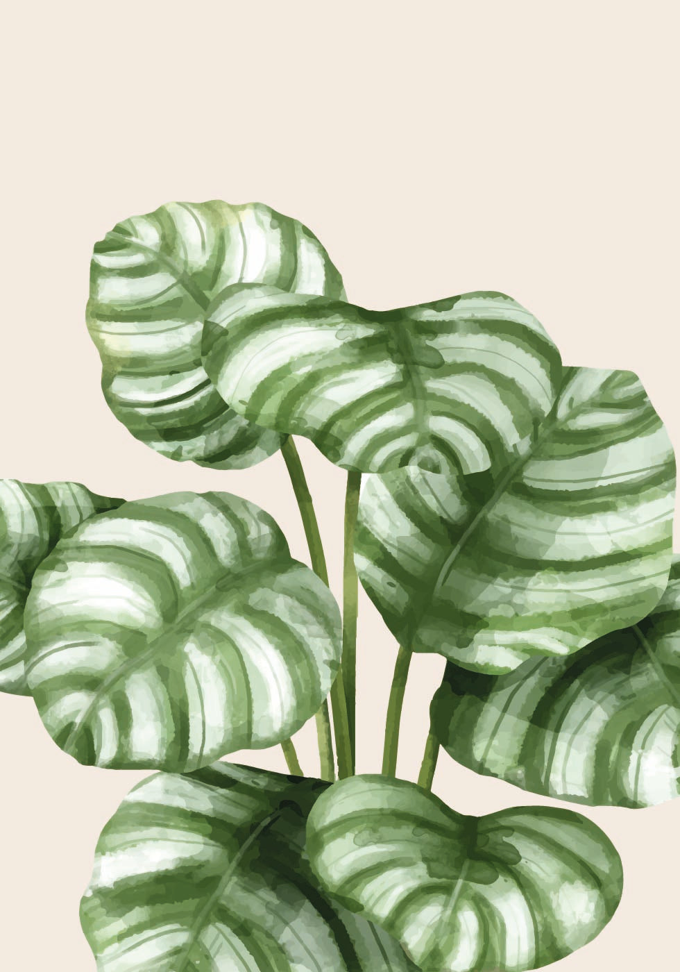 Gestreiftes botanisches Poster mit grünen Blättern - Posterbox.dk