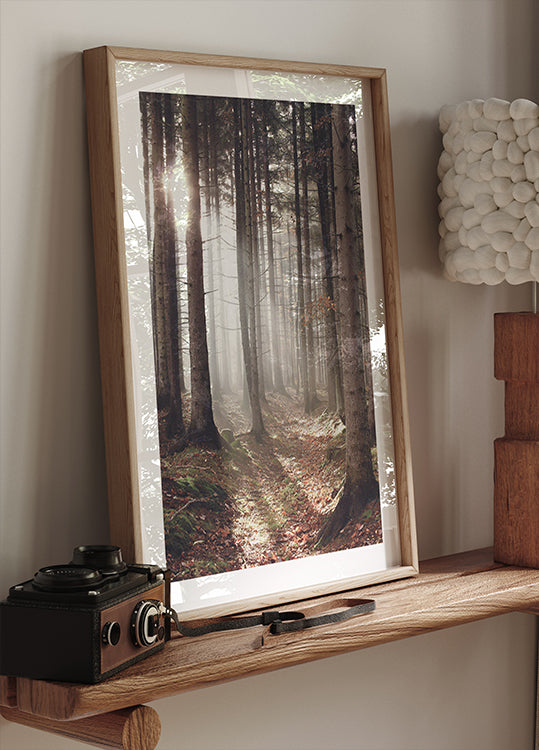 Sunbeam Forest Poster - Posterbox.dk