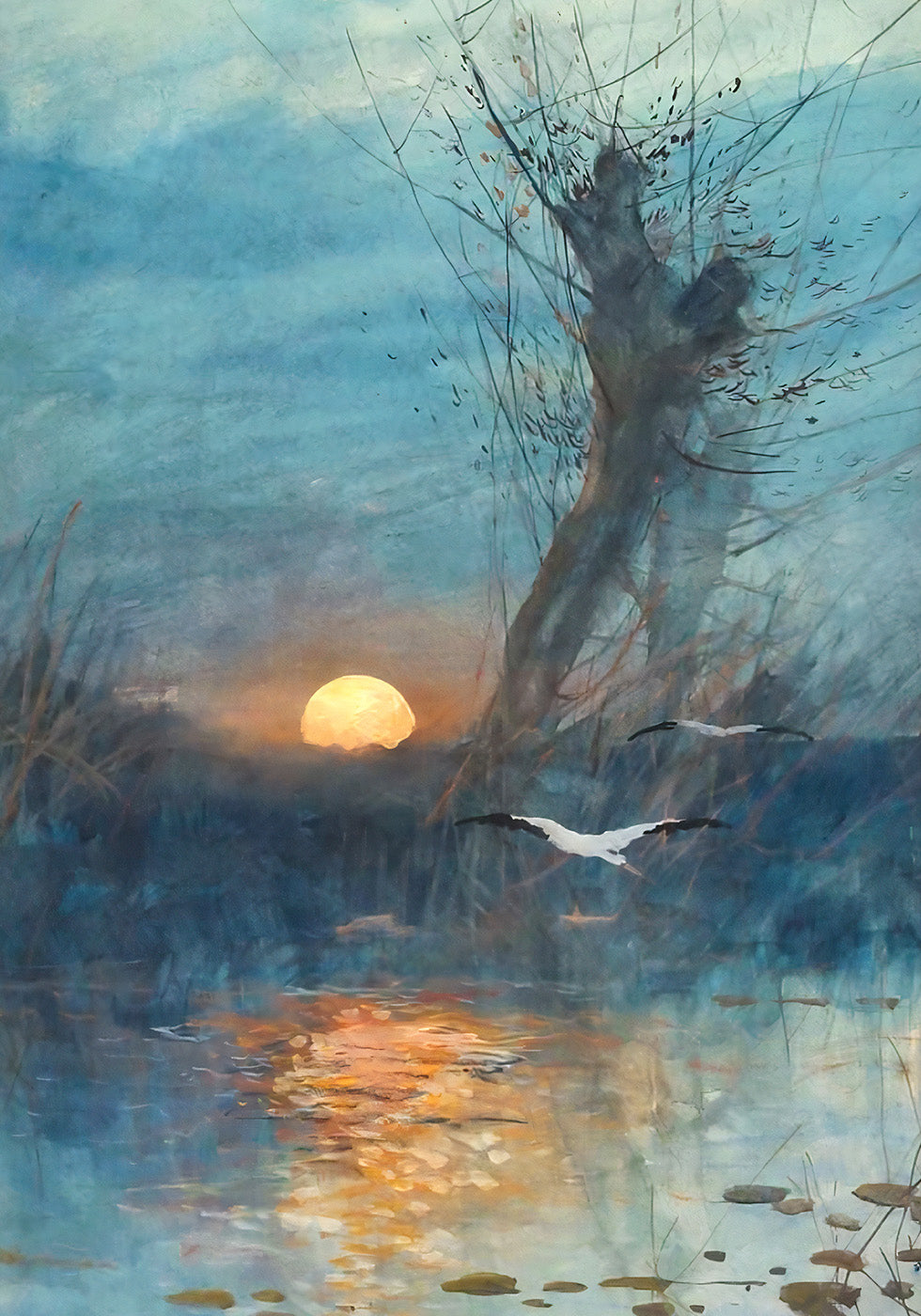 Sonnenuntergang über dem Teich mit Störchen Poster - Posterbox.dk