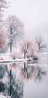 Schwäne auf einem Wintersee-Poster - Posterbox.dk