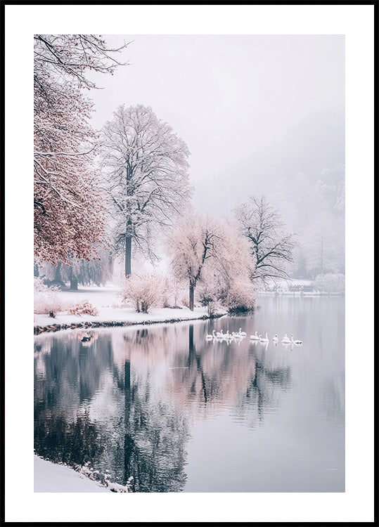 Schwäne auf einem Wintersee-Poster - Posterbox.dk
