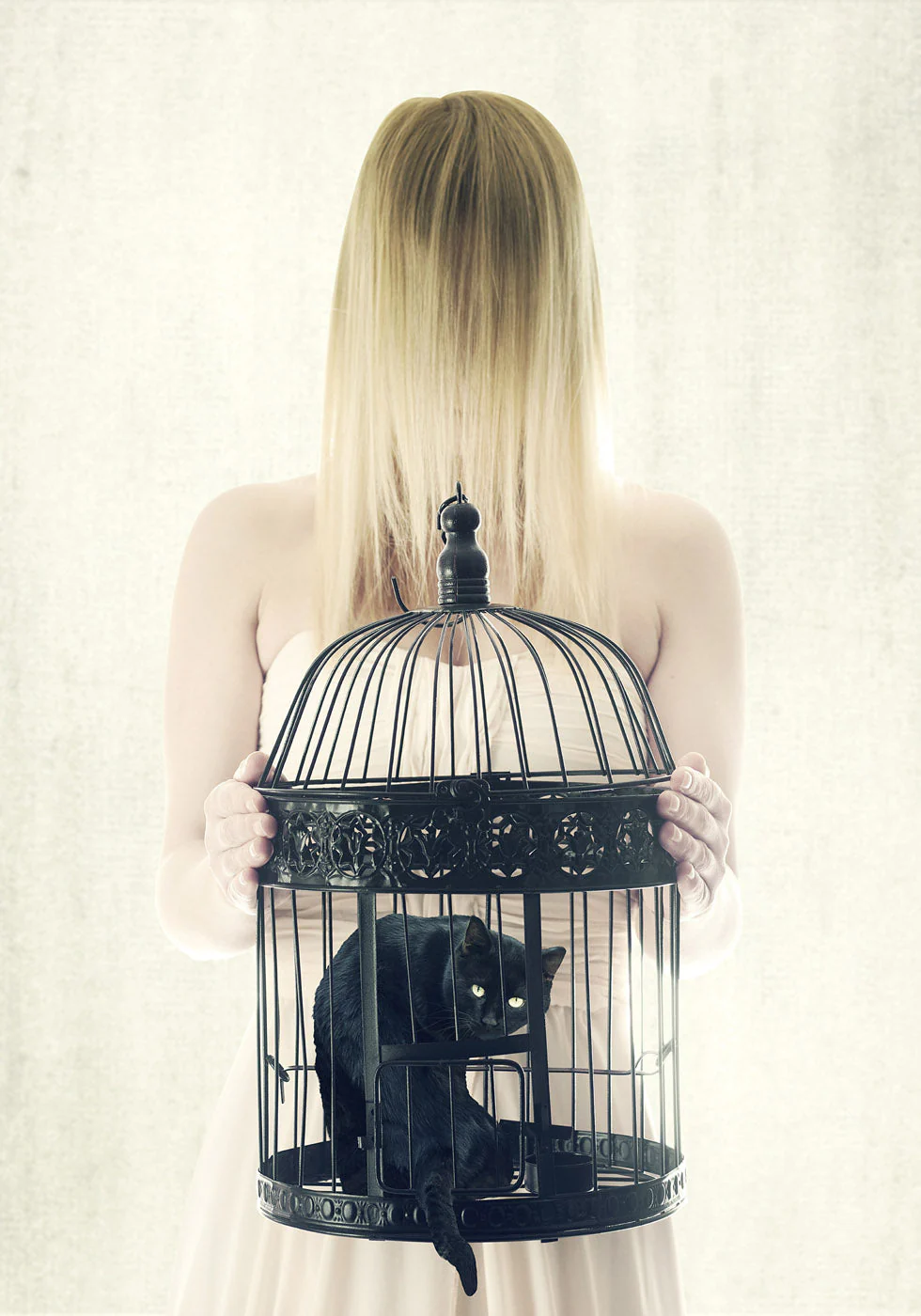 Das böse schwarze Katzenplakat - Posterbox.dk