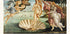 Die Geburt der Venus Poster - Posterbox.dk