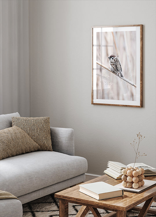 Feldsperling auf Ast Poster - Posterbox.dk