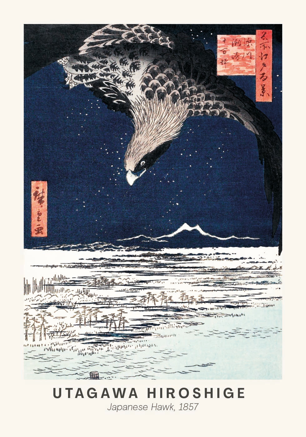 ein Vogel, der über ein Gewässer fliegt