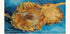 V. Gogh-Sonnenblumen-Poster - Posterbox.dk