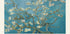 Vincent van Gogh – Mandelblüten-Poster – Posterbox.dk
