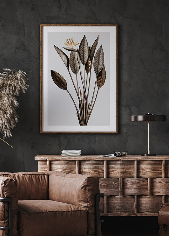 Vintage-Paradiesvogel-Poster - Posterbox.dk