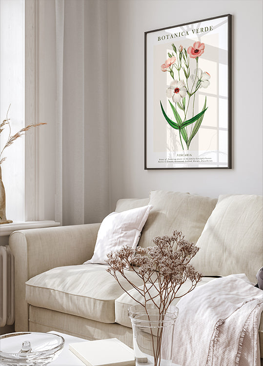 Viscaria Botanisches Poster - Posterbox.dk