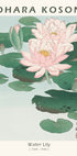 Seerose, japanischer Holzschnitt von Ohara Koson Poster - Posterbox.dk