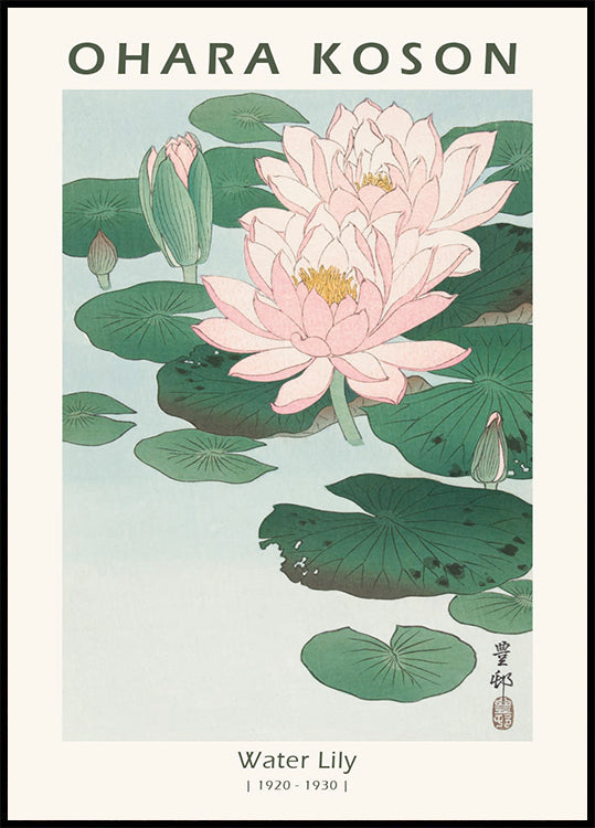 Seerose, japanischer Holzschnitt von Ohara Koson Poster - Posterbox.dk