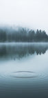 Wasserwellen und nebliger Wald Poster - Posterbox.dk