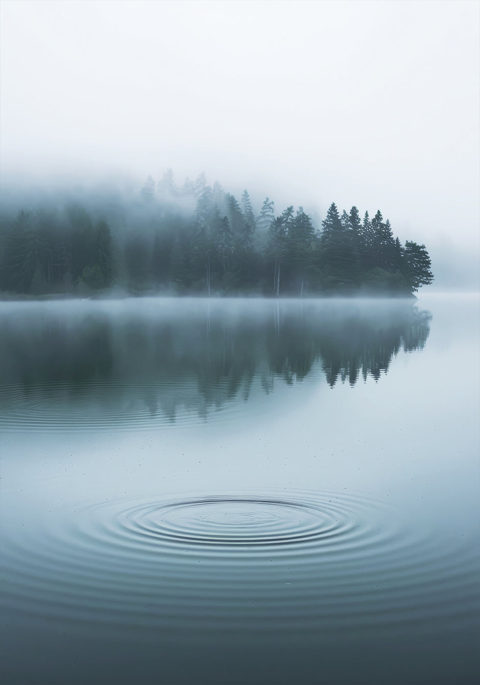 Wasserwellen und nebliger Wald Poster - Posterbox.dk