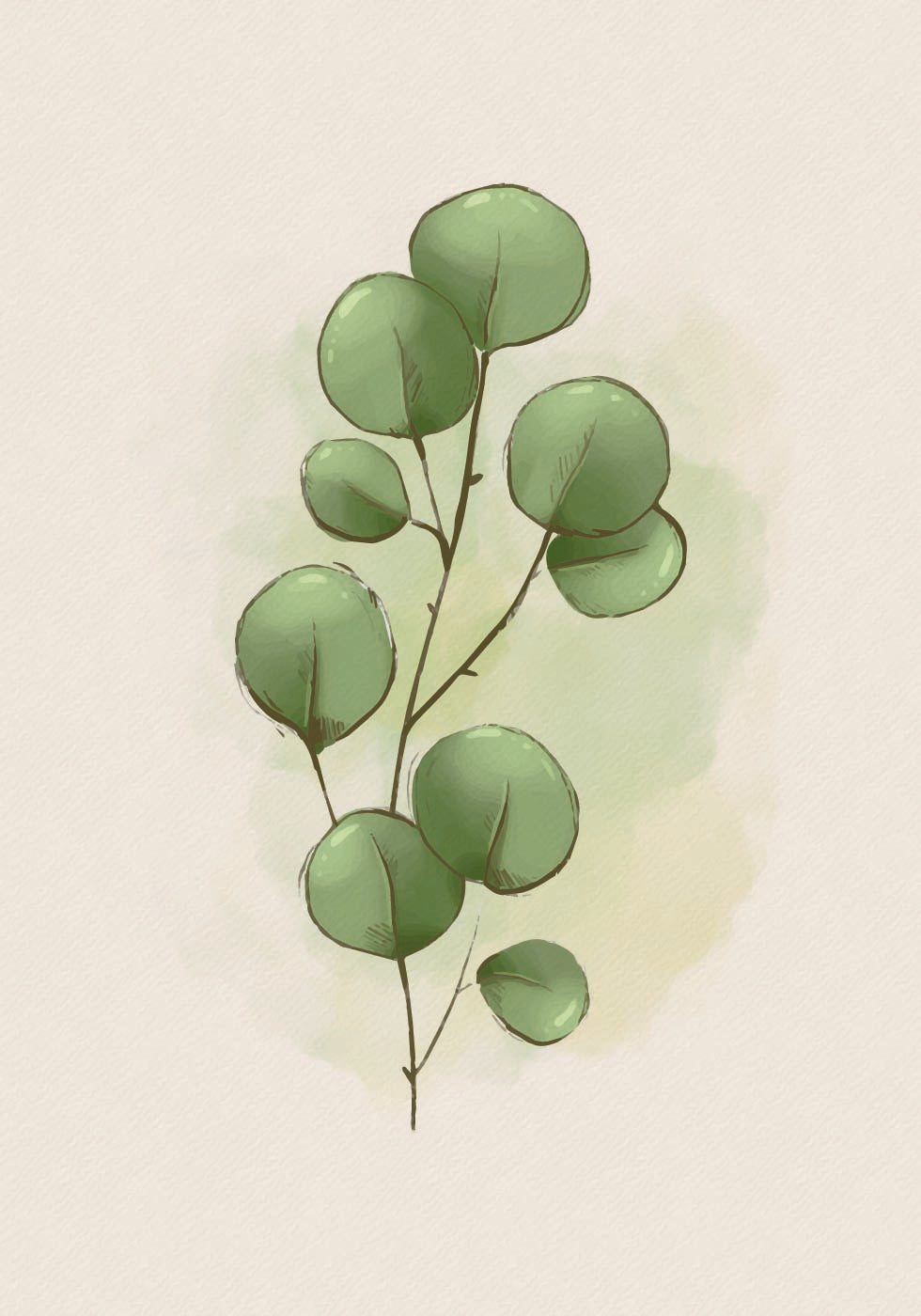 Aquarell Eukalyptus Botanisches Poster - Posterbox.dk