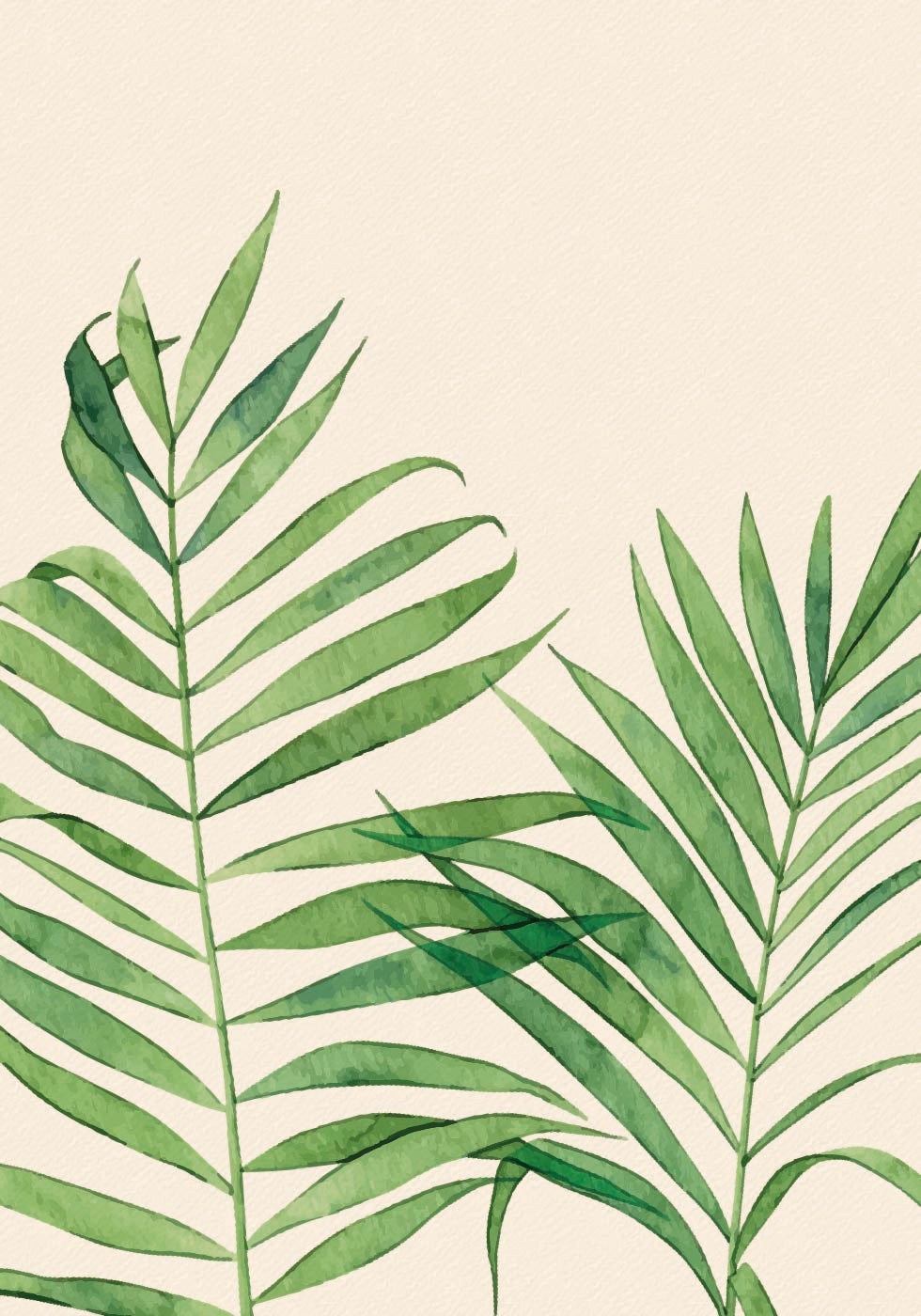 Aquarell-Palmblatt-Poster - Posterbox.dk