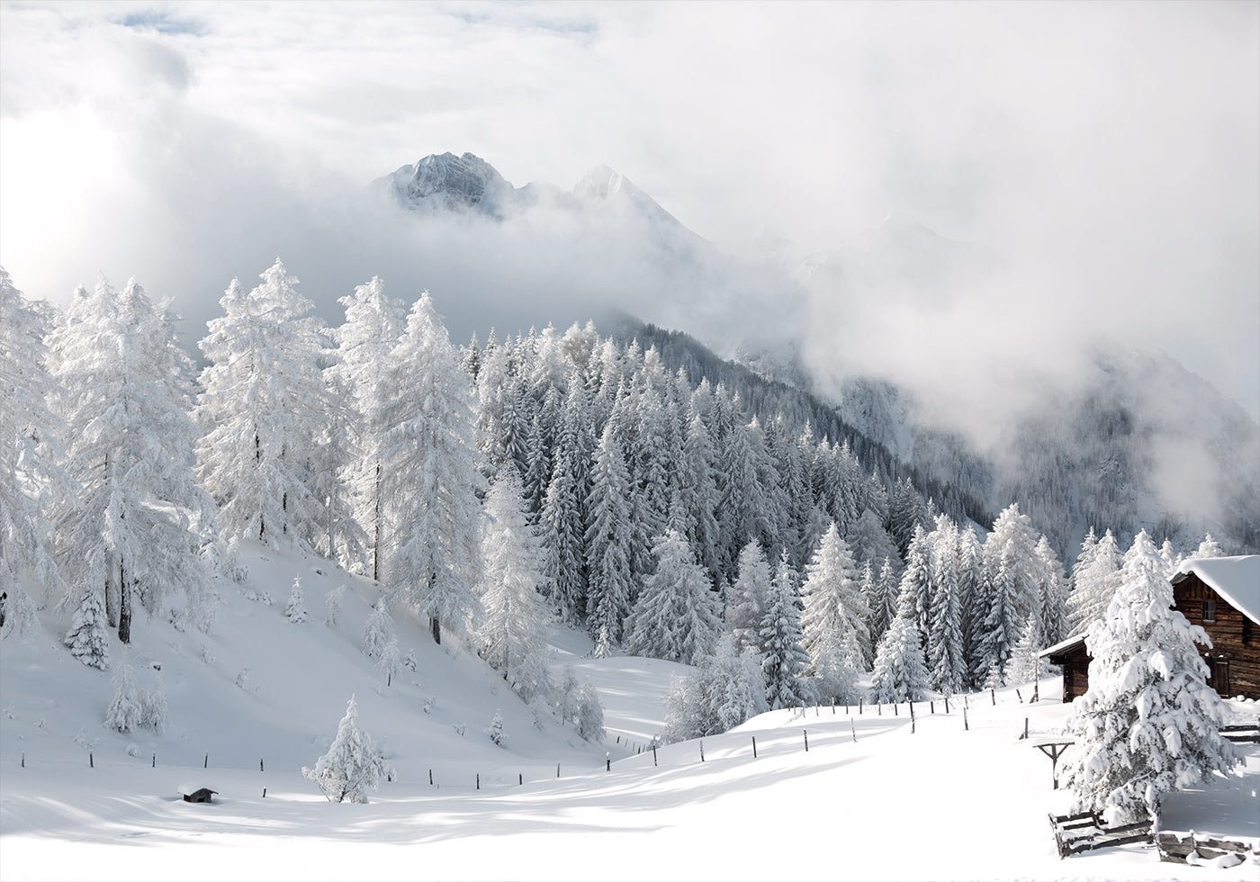 Winterzauber in den Alpen Poster - Posterbox.dk