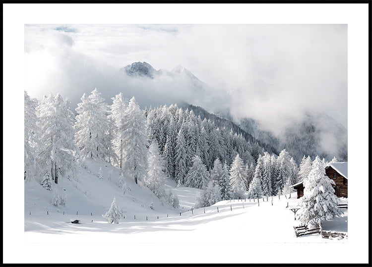 Winterzauber in den Alpen Poster - Posterbox.dk