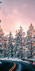 Winter Winding Road Poster - Posterbox.dk