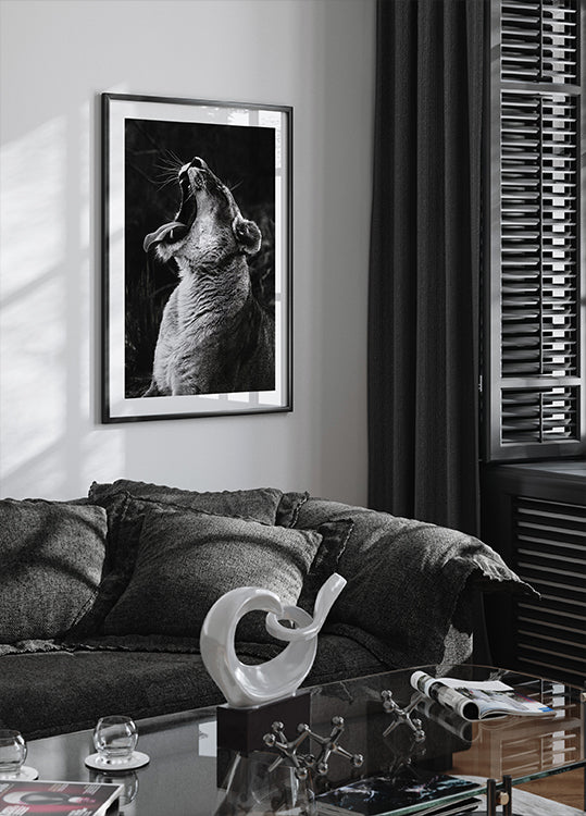 Gähnender Löwe Poster - Posterbox.dk